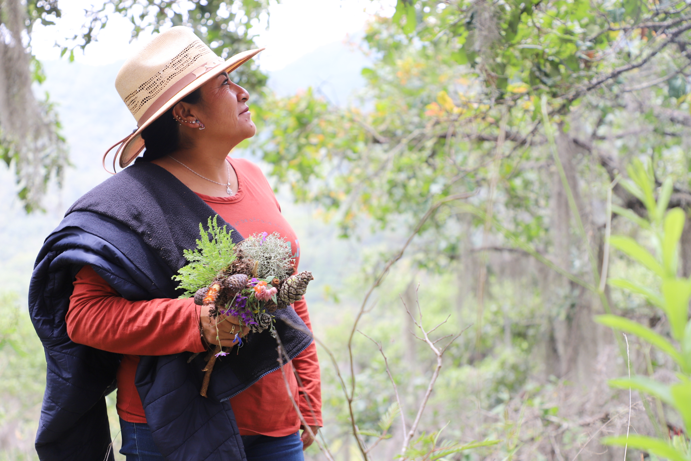 Los créditos de carbono son clave en la NDC 3.0